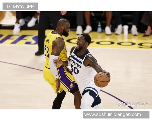 湖人对阵森林狼施罗德表现抢眼助球队争取胜利