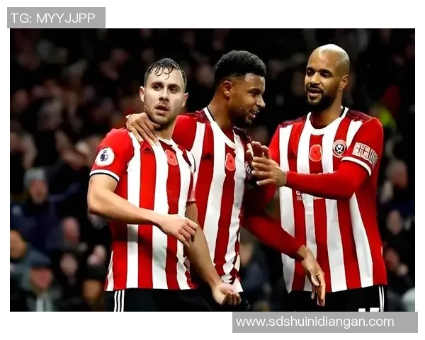 谢菲尔德星期三与卢顿的精彩对决比分分析与赛后点评 谢菲尔德星期三与卢顿的精彩对决比分分析与赛后点评